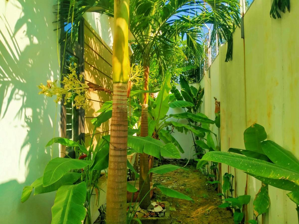 Almond Villa Hoi An Eksteriør billede